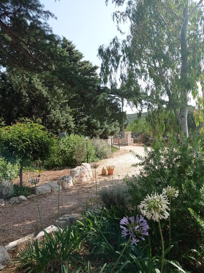 Dimora Dalia - Puglia Mia Apartments Monopoli Dış mekan fotoğraf